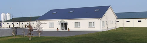 Hermitage AI