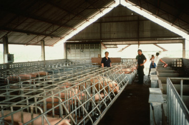 On-farm technical service visit