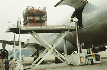 Exporting pigs to expand globally