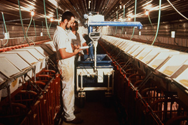 Collecting data manually