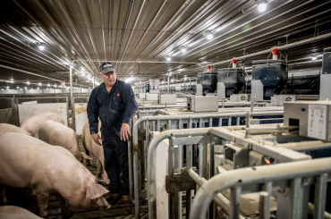 A modern feeder system