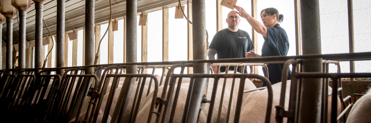 Current job openings - PIC