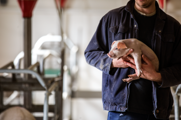 Current job openings - PIC