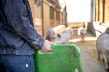 Current job openings - PIC