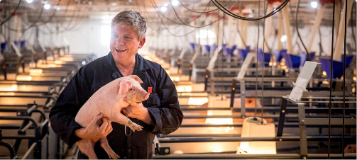 View Job Opportunities