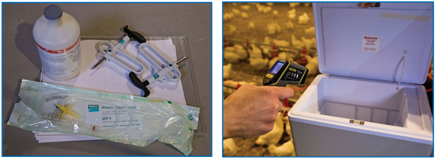 Figure 1: Vaccination supplies and cooler/warmer used to keep vaccine at the correct temperature.
