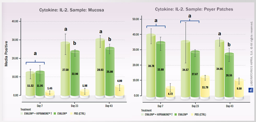 Levels of IL-2 detected in vaccinated birds: