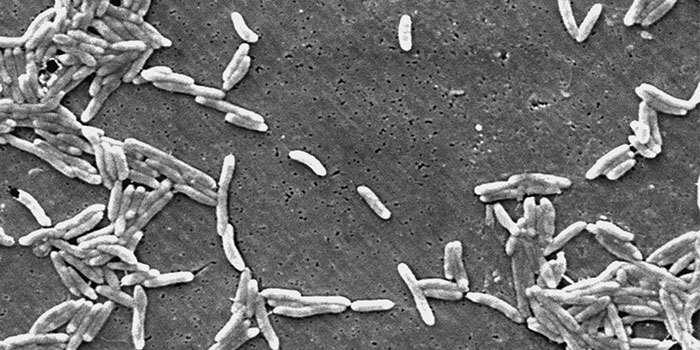 The scientists in the AIR-SAMPLE project have used this type of air sampler to improve the rates at which campylobacter is detected in chicken flocks.