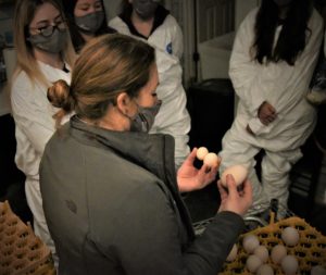 Kristin Moncada discusses various deformities that can occur during poultry breeding that inhibit proper development and viable hatchlings and the potential contributing factors to each imperfection.