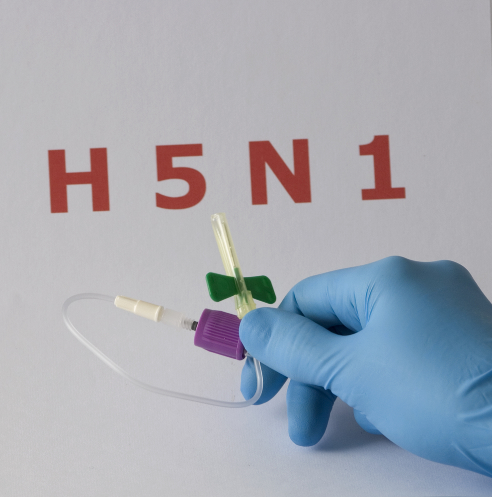 Australia confirms first mainland H5N1 case in wild seabird