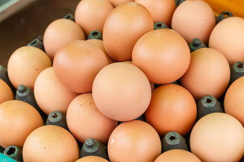 Egg Farmers of Ontario re-elect chair, vice chair