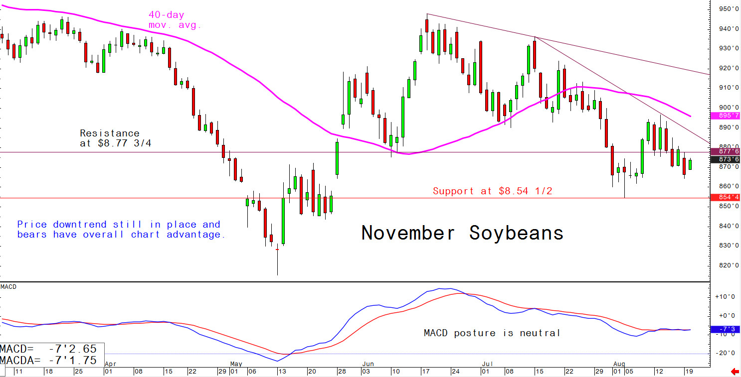 Price downtrend still in place and bears have overall chart advantage