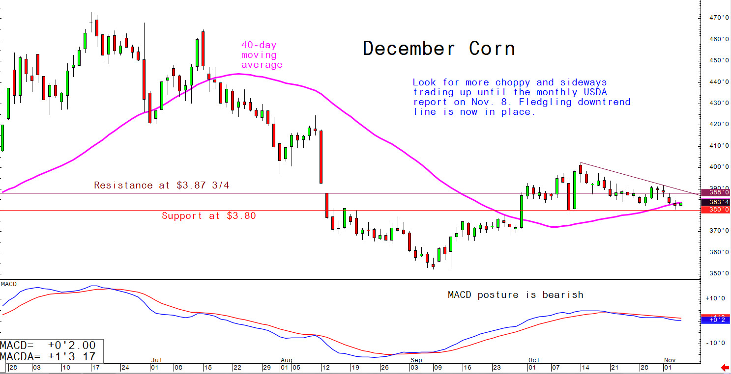 Look for choppy and sideways trading up until the monthly USDA report on 8th November; fledgling downtrend line is now in place