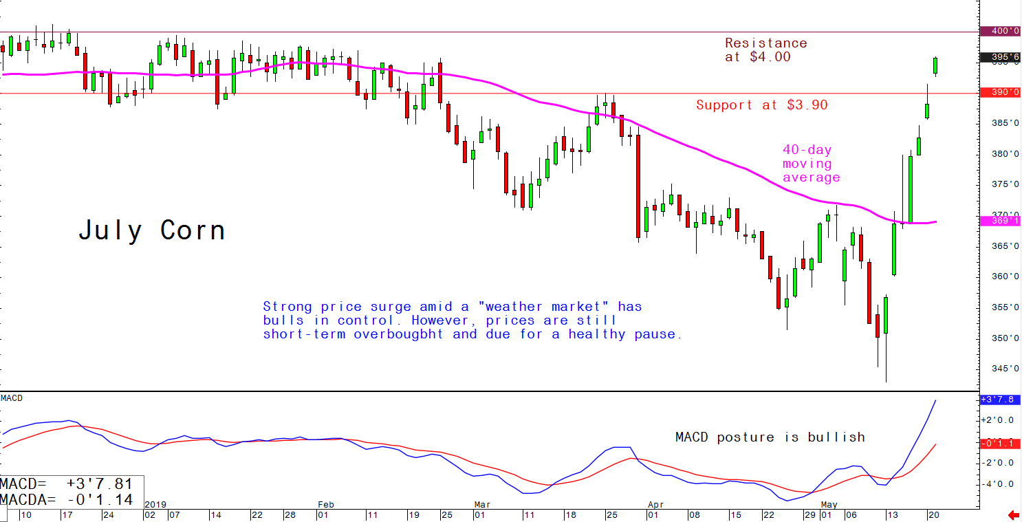 Strong price surge amid a "weather market" has bulls in control, however, prices are still short-term overbought and due for a healthy pause