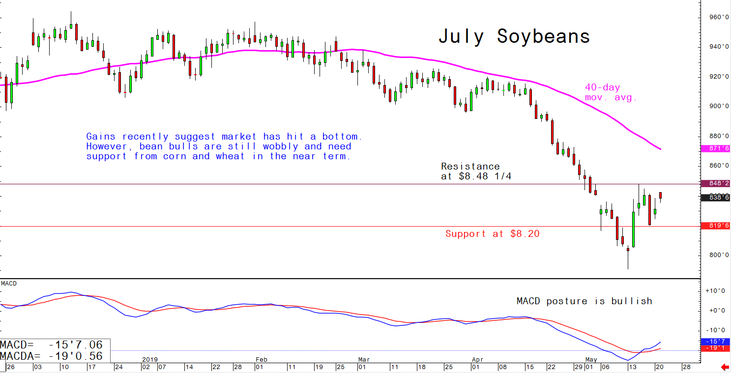 Recent gains suggest the market has hit bottom, however, bean bulls are still wobbly and need support from corn and wheat in the short term