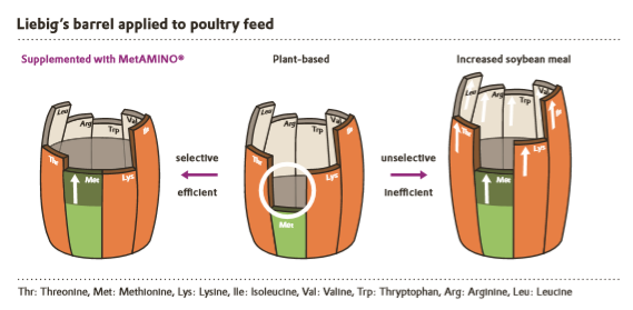 Figure 3: Liebig's barrel illustrates the usefulness of targeted amino acid supplementation.