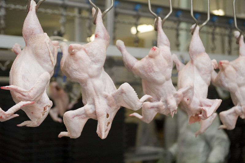 Angola's poultry imports expected to remain stable