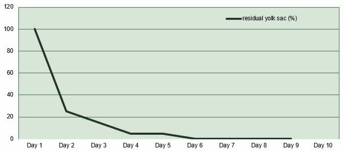 Figure 1. Residual yolk weight in relation to hatch (%) during the first days of life of chicks fed protein-deficient pre-starter diets (adapted from Svennen et al., 2010)