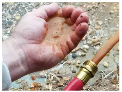 A regular flushing of water lines will remove all debris and dirt from the drinker lines. Photo courtesy of Dr. Susan Watkins, University of Arkansas, department of poultry science.