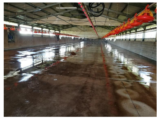 When cleaning, begin at the top of the walls and ceiling and work downward to prevent recontaminating cleaned areas.