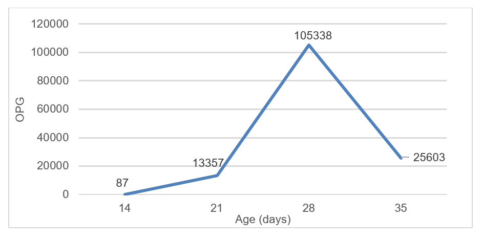 Graph 1. Oocyst excretion dynamics in fresh faecal samples