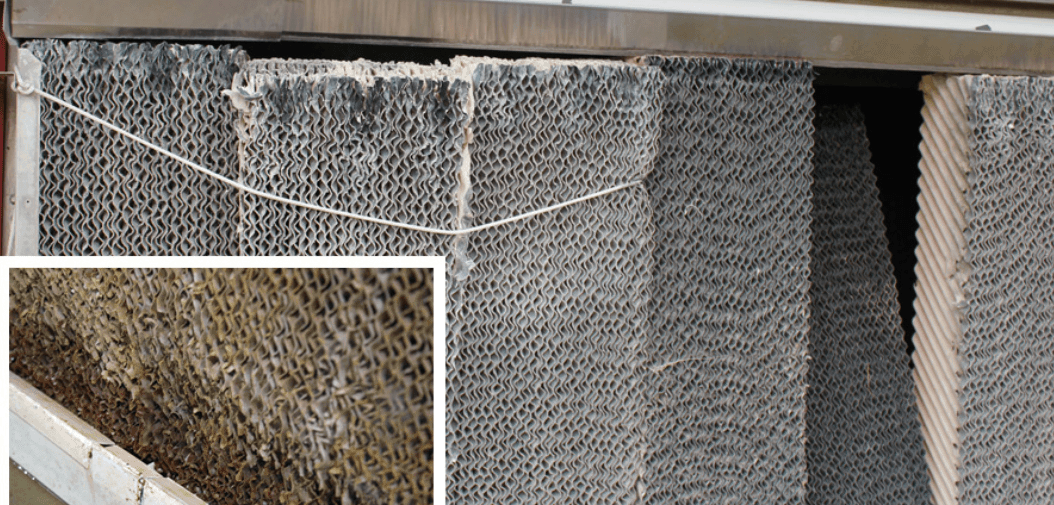 Adjust the float so the pads are not sitting in water, preventing the bottoms from softening and sagging.