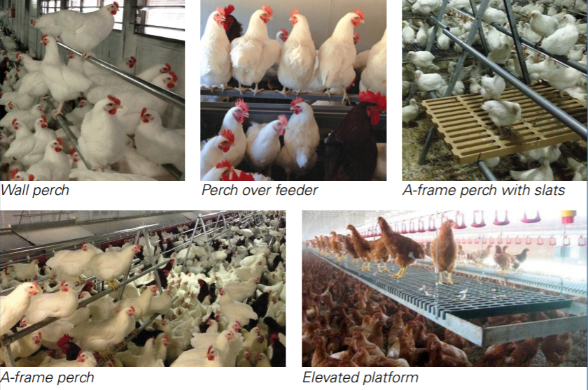 Figure 3. Types of perches.