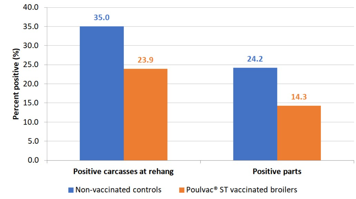 Figure 2. Salmonella-positive rinses at rehang and parts in broilers vaccinated against Salmonella with a modified-live vaccine and raised without antibiotics as compared to unvaccinated controls