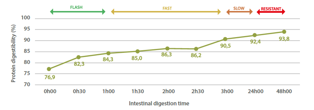 Figure 3. YELA PROSECURE: kinetics of protein digestibility