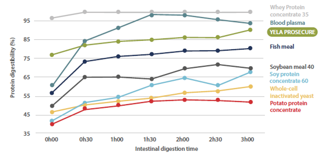 Figure 5. Kinetics of protein digestibility of various protein sources