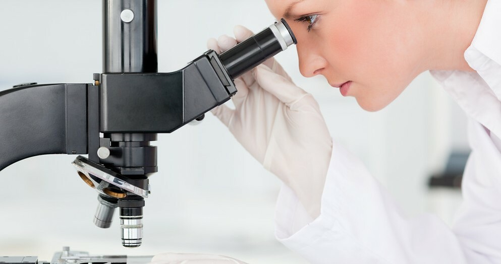 Microscope image accompanying Roslin stem cell research