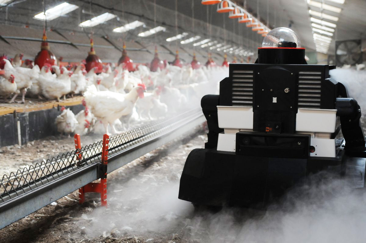 a robot in a chicken shed