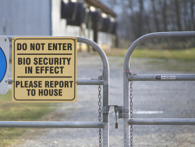 Consider creating a biosecurity regime for your backyard birds