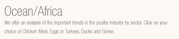 Global /World Poultry Trends