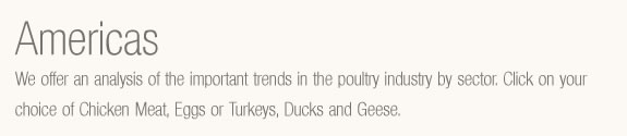 Global /World Poultry Statistics
