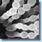 Aspergillus