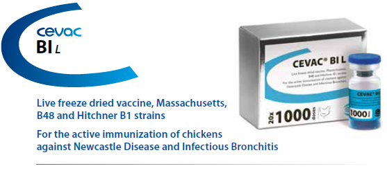 CEVAC® BI L - For the active immunization of Chickens against Newcastle Disease and Infectious Bronchitis from CEVA SANTE ANIMALE