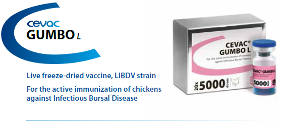 CEVAC® GUMBO L - For the active immunization of Chickens against Bursal Disease from CEVA SANTE ANIMALE