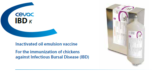 CEVA - CEVAC® IBD K For the immunisation of chickens against Infectious Bursal Disease from CEVA SANTE ANIMALE