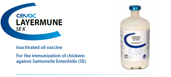 LAYERMUNE® SE 0.50 ml: Inactivated oil emulsion vaccine
For the immunization of chickens against Salmonella Enteritidis (SE) LAYERMUNE® SE 0.50 ml: Inactivated oil emulsion vaccine
For the immunization of chickens