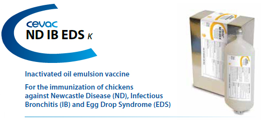 CEVA - CEVAC® ND IB IBD EDS K For the immunisation of chickens against Newcastle Disease, Infectious Bronchitis and Egg Drop Syndrome from CEVA SANTE ANIMALE