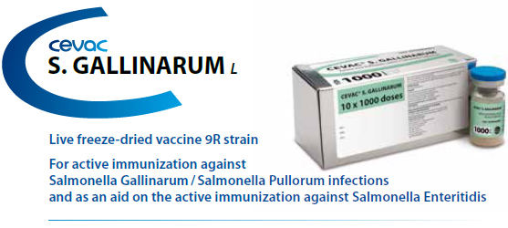 CEVAC® S.Gallinarum  - For the active immunization against Salmonella gallinarum from CEVA SANTE ANIMALE