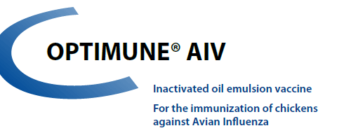 CEVA - OPTIMUNE® AIV for the immunisation of chickens against Avian Influenza from CEVA SANTE ANIMALE