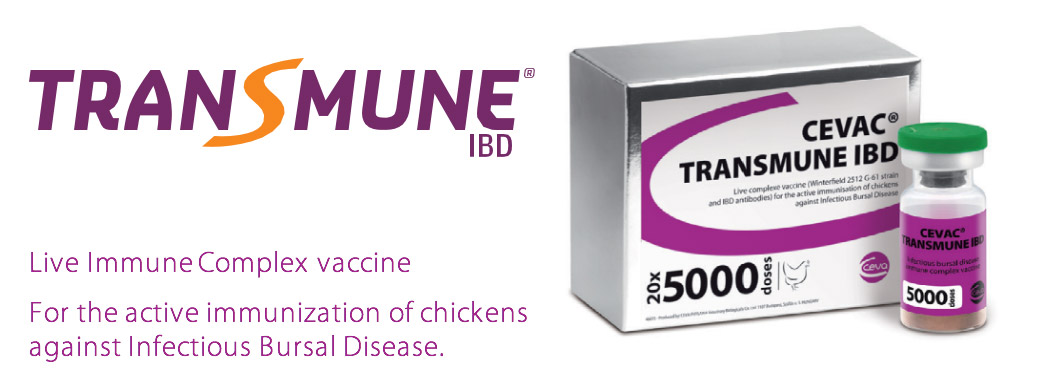 Transmune IBD - Ceva