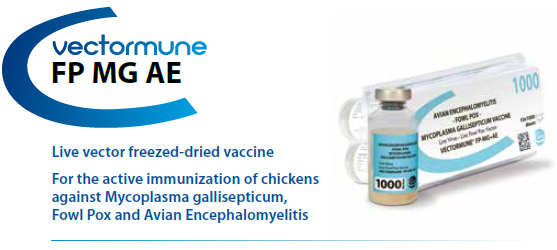 VECTORMUNE® FP MG AE - For the active immunization of Chickens against Fowl Pox, Mycoplasma gallisepticum Infection and Avian Encephalomyelitis Disease from CEVA SANTE ANIMALE