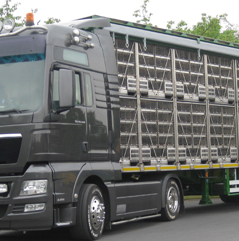 CID Lines - Transport
