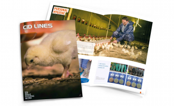 CID Lines - Catalogue