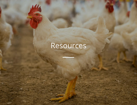 Resources - Cobb Resources - Cobb