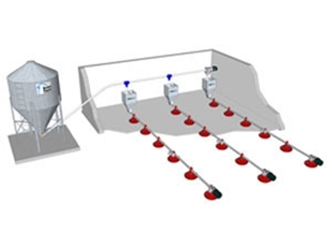 Poultry Feed Delivery System