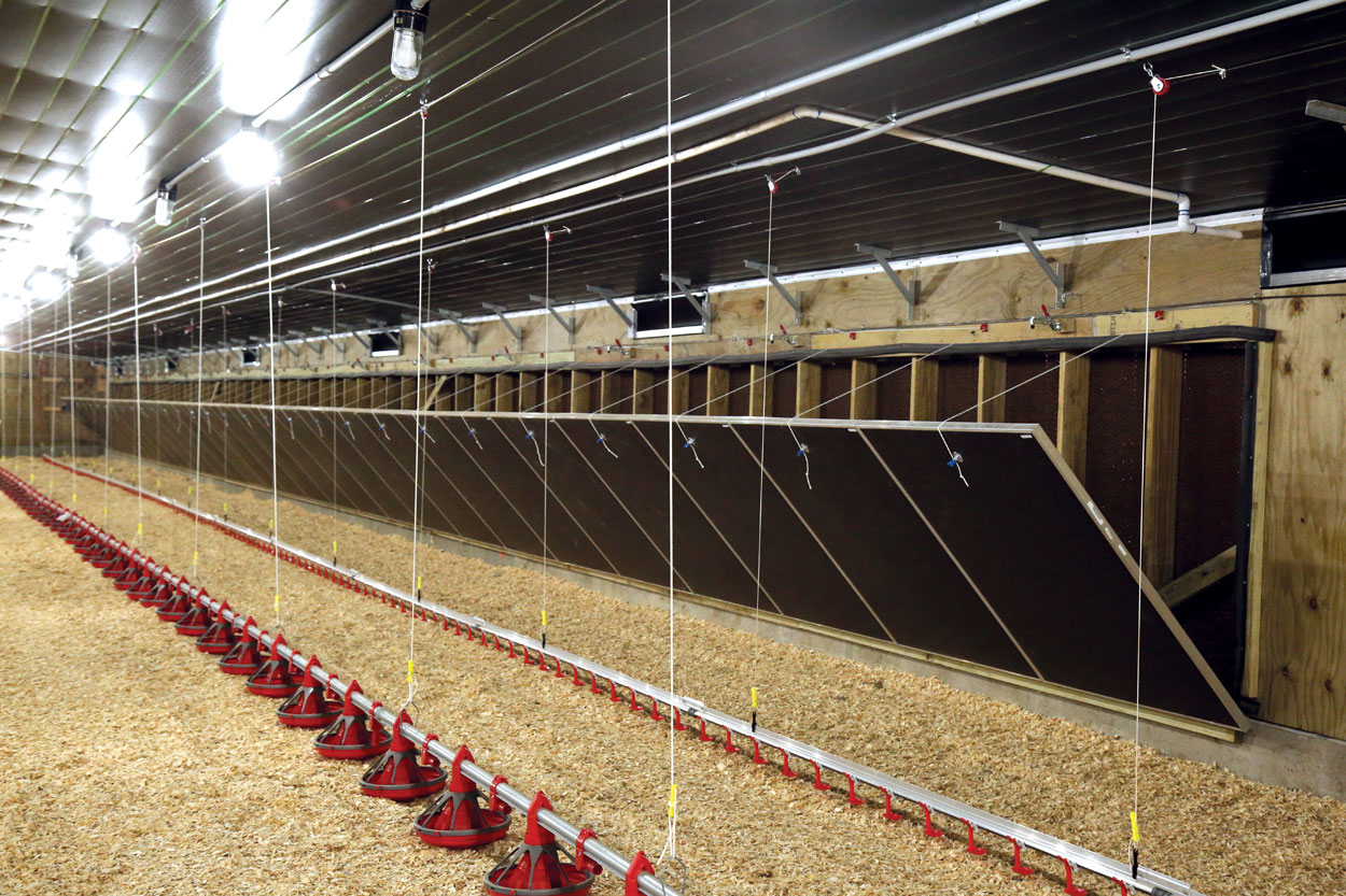 TEGO tunnel doors direct incoming airflow toward the ceiling peak to mix with the warmer air, producing ideal temperatures at bird level.